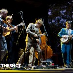 punch brothers at central park summer stage-18