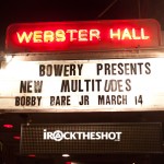 new multitudes at webster hall-1