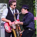 fitz and the tantrums at firefly papeo-8