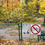 hurricane sandy in nutley-1