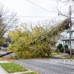 hurricane sandy in nutley-29