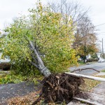 hurricane sandy in nutley-33