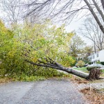 hurricane sandy in nutley-38